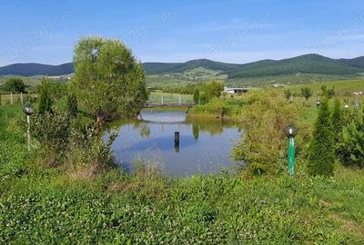 Casă cu 6 camere în Herina - 3