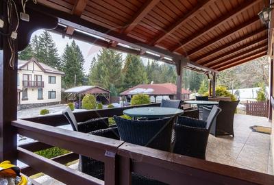 Hotel/Pensiune, de 404 mp, în Vlădeț - Trei Brazi - 42