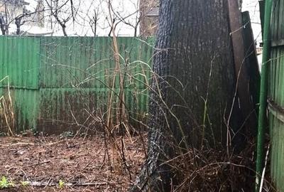 Casă individuală cu 9 camere cu Canalizare în Armeneasca - 24