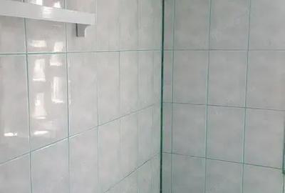 Apartament cu 2 camere decomandat în Iosefin