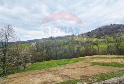 Teren Construcții intravilan de 2910 mp, în Chirițeni - 2