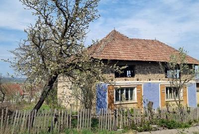 Spațiu comercial, în Băița - 3