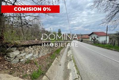 Teren Construcții intravilan de 2845 mp, în Runcu - 1