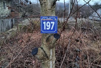 Teren de 311 mp, în Central - 3