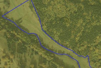 Teren de 57000 mp, în Vama Buzăului - 14