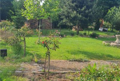 Teren Construcții intravilan de 900 mp, în Săcel - 3