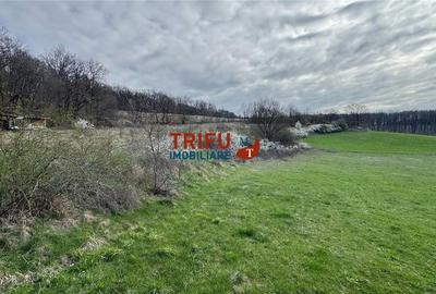 Teren de vanzare pentru cabana langa padure - 1