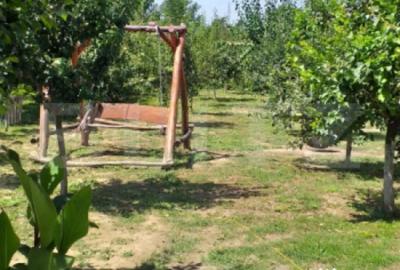 Casă cu 4 camere cu Teren 1478 Mp în Lazuri - 1