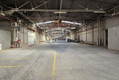Spațiu industrial, de 16,000 mp, în Vest - 13