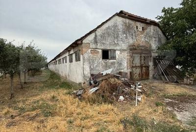 Spațiu comercial, de 7,000 mp, în Șagului - 10