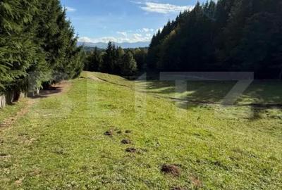 Teren de 2792 mp, în Colibița - 2