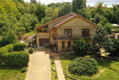 Casă cu Teren 2595 Mp în Calea Caransebeșului - 6