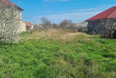 CASA + TEREN de vanzare - 4