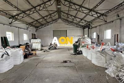 Spațiu industrial, de 550 mp, în Lunca Mureșului - 5