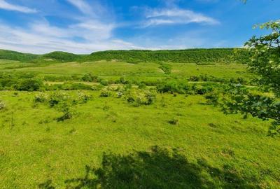 Teren agricol extravilan de 2800 mp, în Ciumăfaia - 2