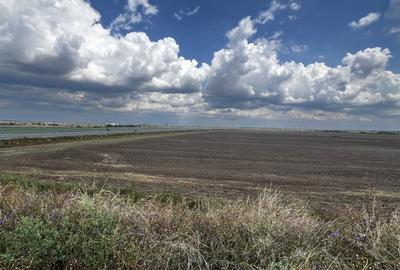 Teren 14 HA conex Autostrada A0 Nord pretabil dezvoltare logistica/rezidentiala - 3