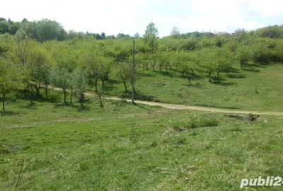 Teren de 950 mp, în Dealul Malului - 1