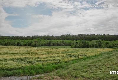 Loc de casa - Snagov - teren intravilan - 2