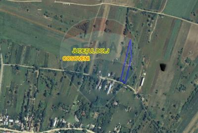 Teren Construcții intravilan de 1992 mp, în Coșoveni