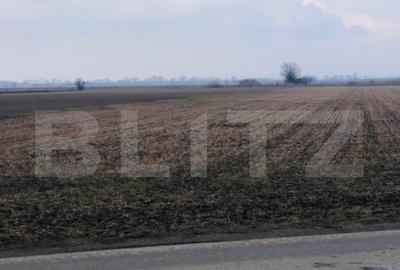 Teren extravilan de vanzare, 30.000 mp, cu potential de con - 4