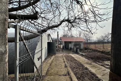 Spațiu industrial, în Dumești - 9