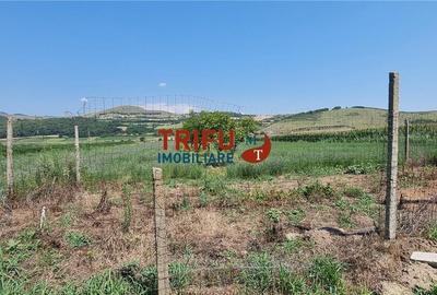 Spațiu comercial, în Șard - 3