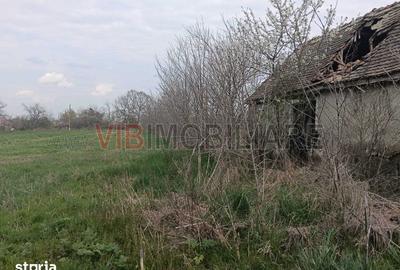 Teren de 2650 mp, în Pădureni - 3