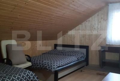 Cabana de lemn, 7 camere - afacere la cheie - Brasov - 16
