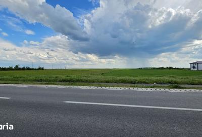 Teren de 9600 mp, în Niculești - 2