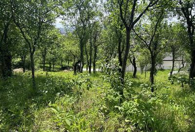 Parcela de 8,86 ari zona Valea Rosie - 4