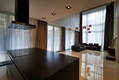 Vila impresionanta cu finisaje premium, langa padure - 4