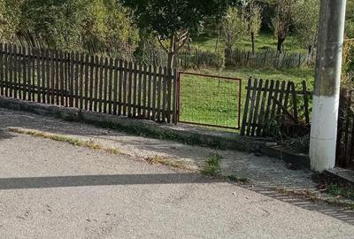 Teren de 1000 mp, în Vistieru - 2