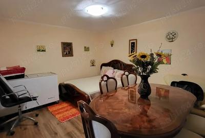 Casa cu gradina de vanzare Casa cu gradina de vanzare - 10