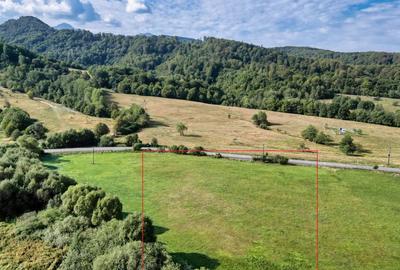 Cheile Rasnoavei DN73A, teren extravilan 3.000 mp, zona de vis, ideal investitie - 6
