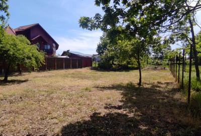 Teren Construcții intravilan de 487 mp, în Mogoșoaia - 5