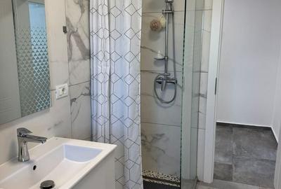 Apartament cu 2 camere decomandat, mobilat în Dumbrăvița - 7