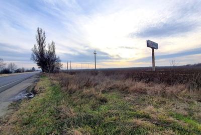 Snagov, CIolpani, Deschidere 61m DN1, Teren Intravilan 4906mp - 3