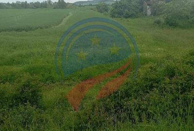 Teren de 7140 mp, în Murgași