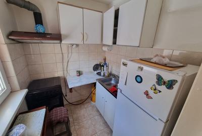 Lapusneanu satul de vacanta-apartament 2 camere ideal investitie - 6