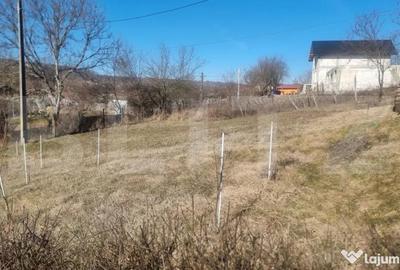 Casă cu 3 camere cu Teren 2000 Mp în Iordăcheanu - 10