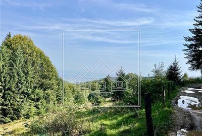 Teren de vanzare - 11200 mp - extravilan - zona turistica - 2