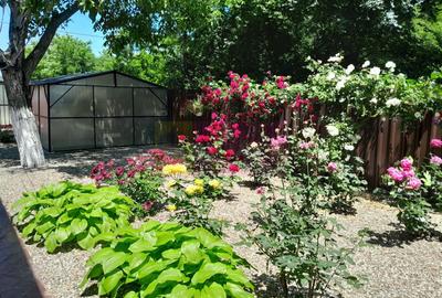 Casă cu 7 camere cu Teren 500 Mp în Movilița - 6