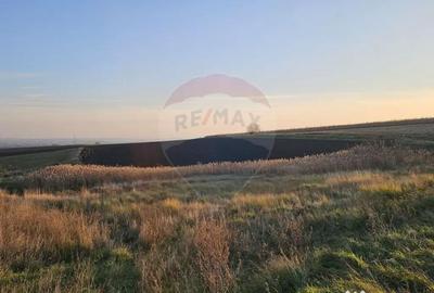 Teren de 30077 mp, în Stroiești - 7