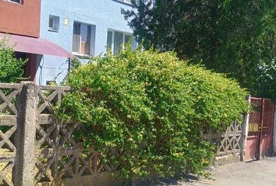 Vand apartament 2 camere , caramida, et 2 din 2, pod ofertant ,pivnita , curte cu multa verdeata - 8