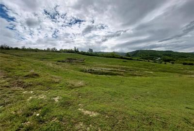 Teren extravilan 10000 mp, com Panatau - 6