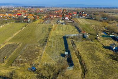 Teren agricol intravilan de 5000 mp, în Prejmer - 3