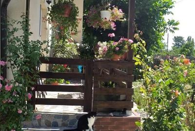 Casă cu 3 camere în Periș - 2