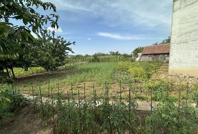 Casă individuală cu 6 camere cu Canalizare în Aradul Nou - 8