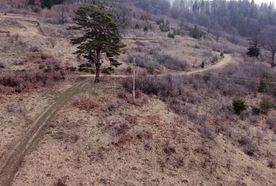 Teren Construcții intravilan de 1751 mp, în Scăricica - 4
