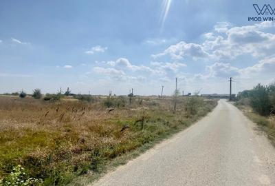 Teren Construcții intravilan de 6090 mp, în Albota - 7